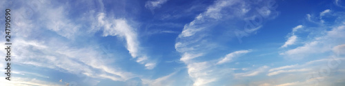 Panorama sky with cloud on a sunny day. Beautiful cirrus cloud.