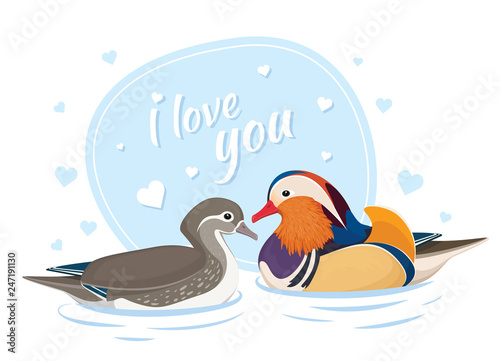 Two Mandarin Ducks in Love. Symbol of Love and Marriage. Card for Valentine Day. Asian Birds. Male and Female. Vector Illustration
