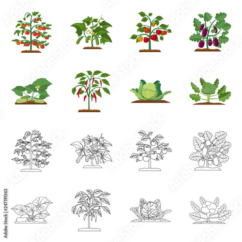 Vector illustration of greenhouse and plant sign. Set of greenhouse and garden stock symbol for web.