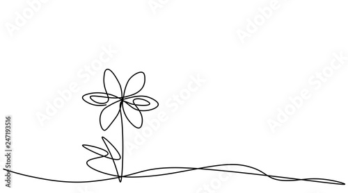 Spring flowers background with chamomile flower isolated on white, vector illustration.