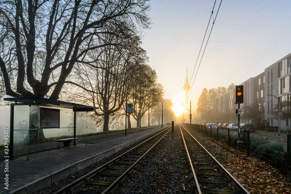 Fototapeta premium Leere Straßenbahnhaltestelle früh am Morgen in Mannheim