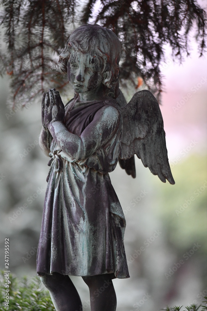 Fototapeta premium A sandstone sculpture of a praying angel under a fir.