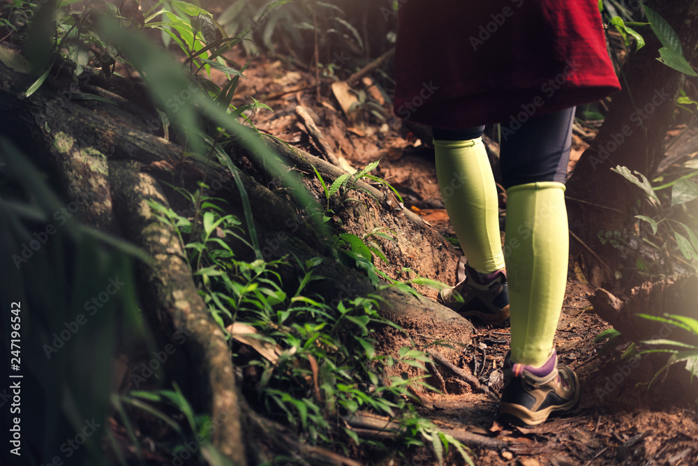 Close Up Asian Woman Hiker are Hiking in the Forest On Vacation , Travel Sport Lifestyle Concept