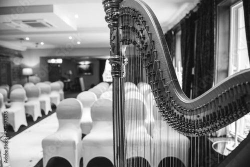 Harp at a wedding ceremony photo