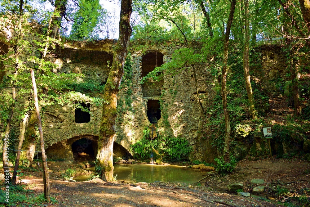 vecchio rudere di mulino idraulico conosciuto come Il Mulinaccio di Scandicci immerso nel bosco nei pressi di San Vincenzo a Torri in provincia di Firenze, Italia