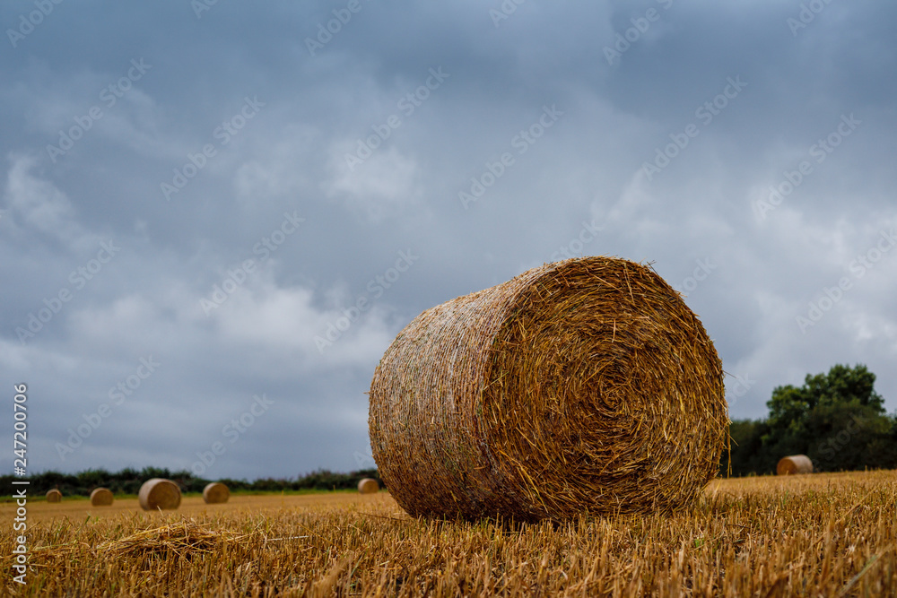 Hay Bales waiting for harvesting under stormy skies in rural countryside. Hay Bales waiting for harvesting under stormy skies in rural countryside.