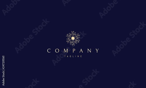 Gold Jewelry Vector logo .