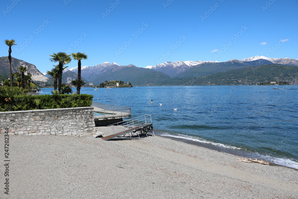 Palms at Lake Maggiore view to Isola Bella, Piedmont, Italy