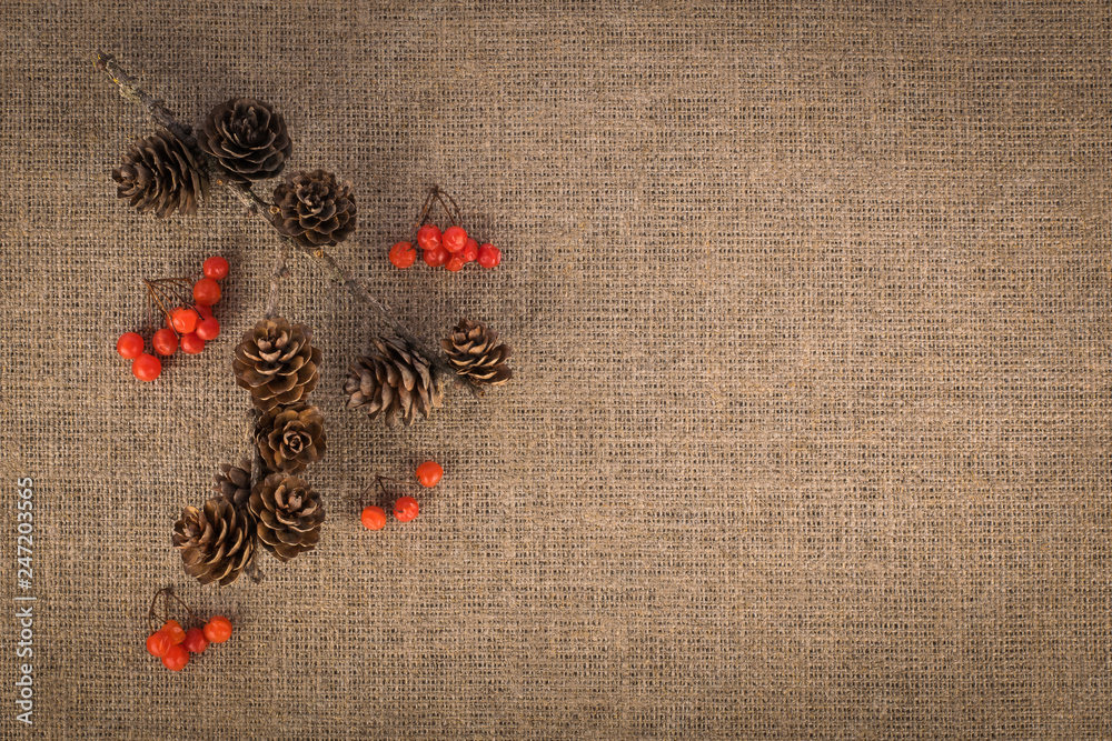 Composition of berries and branch with fir cones. Autumn concept Composition of berries and branch with fir cones. Autumn concept