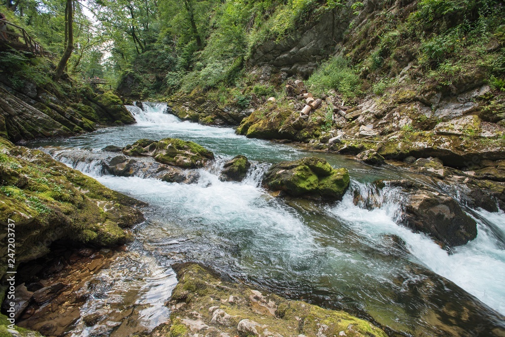 Vintgar gorge, river and wood path, near Bled lake, Slovenia Vintgar gorge, river and wood path, near Bled lake, Slovenia