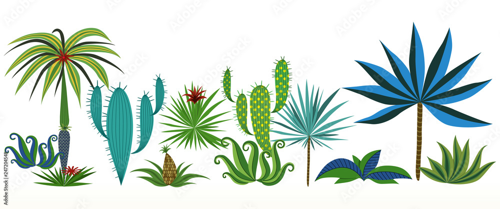 Set of different tropical plants. Vector illustration.