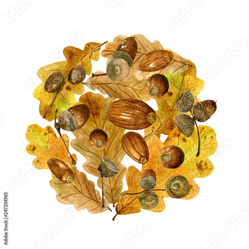 Watercolor pattern of autumn oak leaves and acorns. Bright fall round print with natural elements