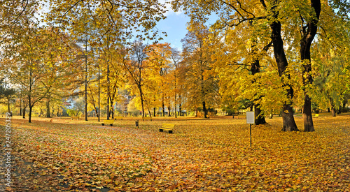 Herbststimmung, Park im Herbst