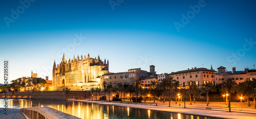 Night view of the Cathedral de Santa Maria in Palma de Mallorca Spain.