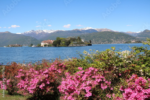 View to Isola Pescatori and Isola Bella at Lake Maggiore in spring, Italy