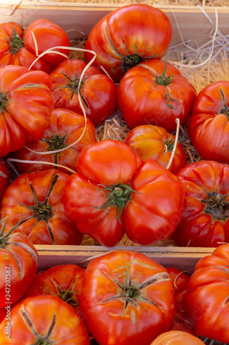 Vegetables of South France, farmers organic ripe tomatoes in assortment on local market in Provence