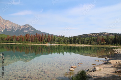 Calm Morning On Patricia Lake, Jasper National Park, Alberta