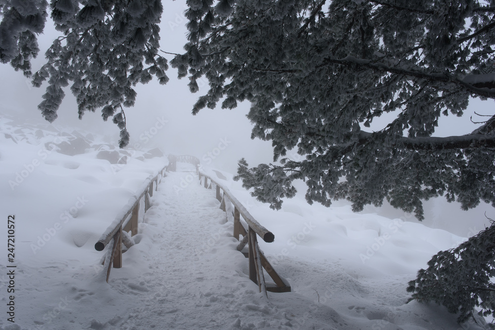 Snowy long wooden bridge enters the fog mist  in the mountain