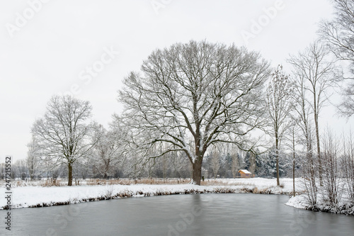 Winter im Münsterland