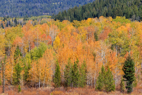 Teton National Park Autumn Landscape