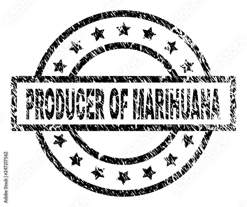 PRODUCER OF MARIHUANA stamp seal watermark with distress style. Designed with rectangle, circles and stars. Black vector rubber print of PRODUCER OF MARIHUANA caption with corroded texture.