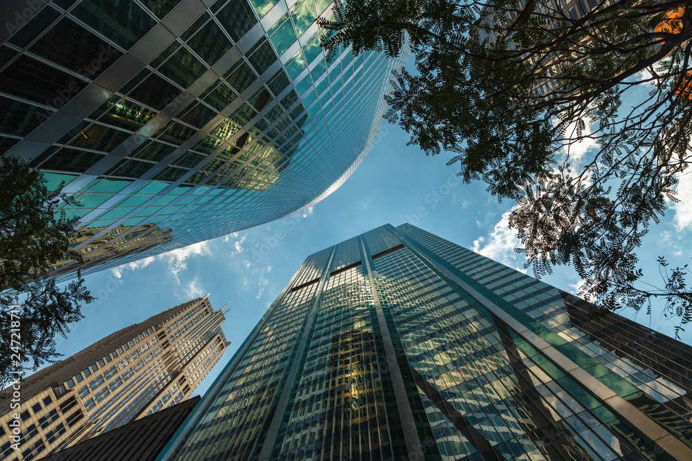 Urban Skyscrapers