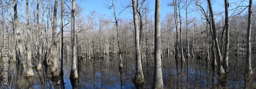 Chakchiuma Swamp in Lee Tartt Nature Preserve in Grenada, Mississippi