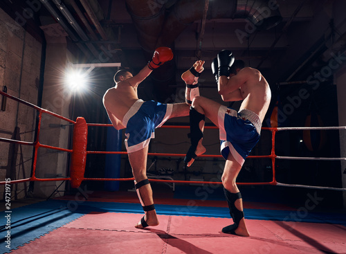 Two strong male boxers training kickboxing in the ring at the sport club