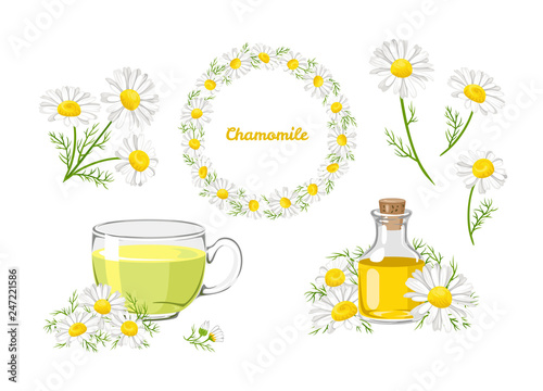 Chamomile set. Bouquet, wreath, tea and chamomile oil isolated on white background. Vector illustration of white daisy flowers in cartoon flat style.