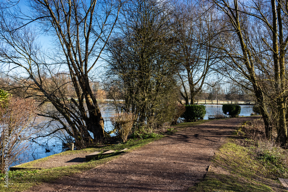 views in park when walking