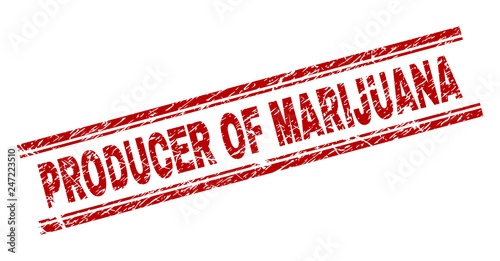 PRODUCER OF MARIJUANA seal print with corroded style. Red vector rubber print of PRODUCER OF MARIJUANA caption with dust texture. Text caption is placed between double parallel lines.