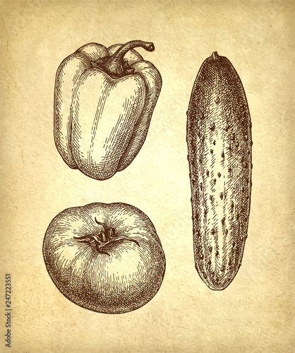 Vegetables set on old paper background.