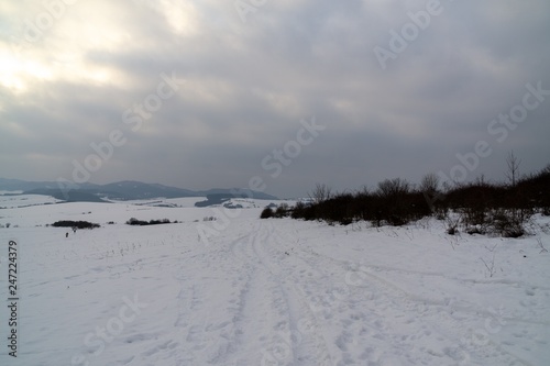 Nature under the snow during winter. Slovakia