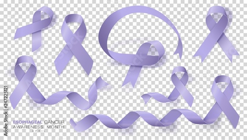 Esophageal Cancer Awareness Month. Periwinkle Color Ribbon Isolated On Transparent Background. Set. Vector Design Template For Poster.