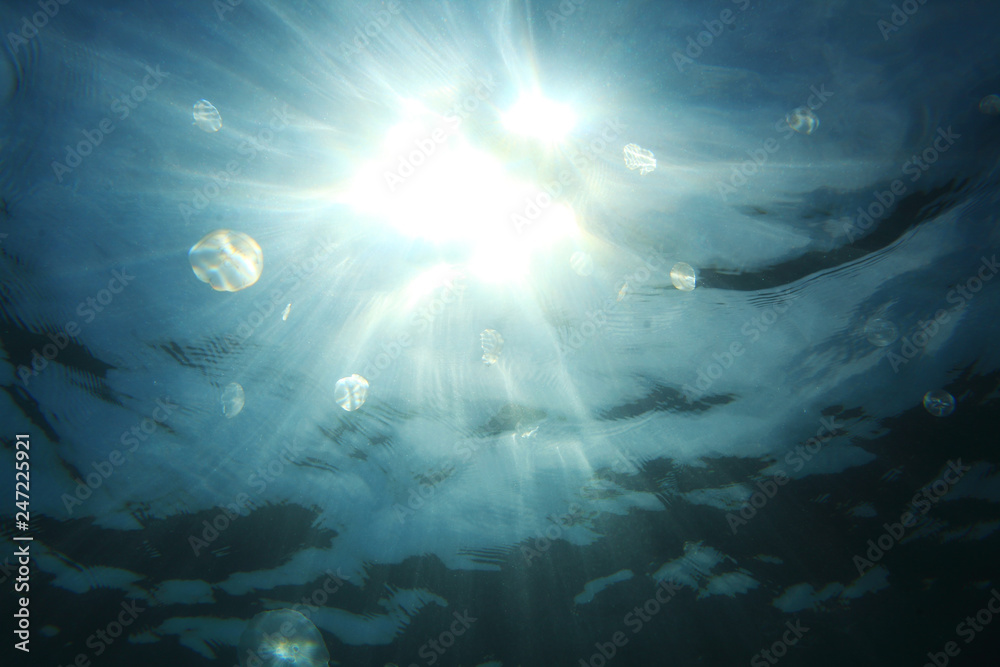 Fototapeta premium Up