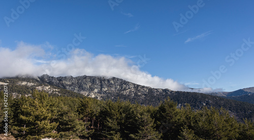 Mountains and wild forests full of color