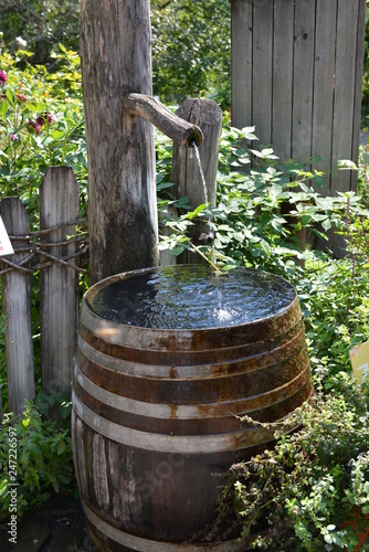 L'acqua per il giardino