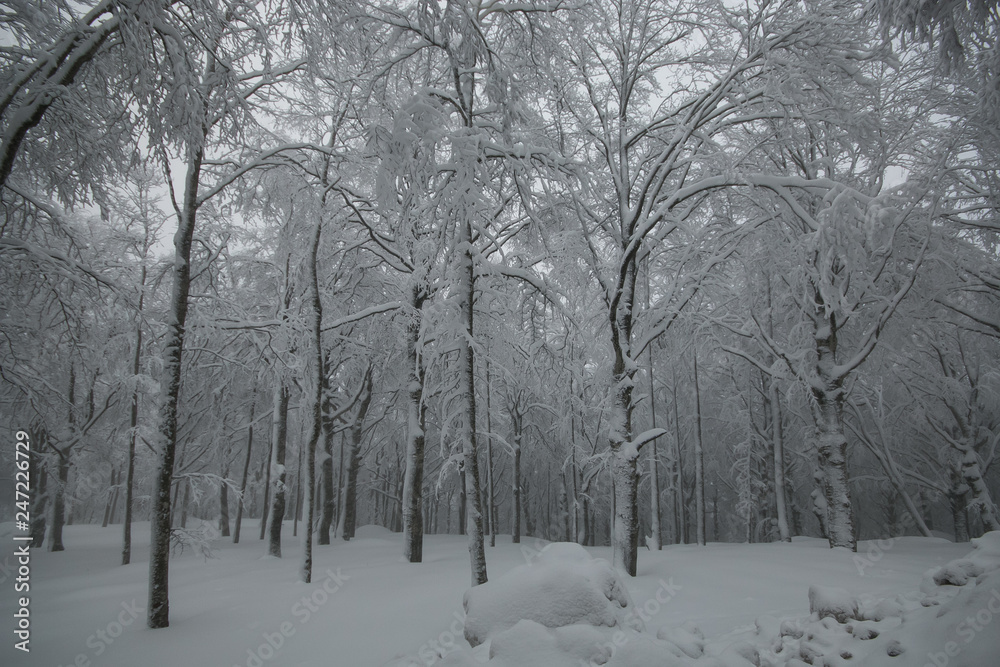 Fototapeta premium Monte Amiata con la neve, famosa zona sciistica della toscana