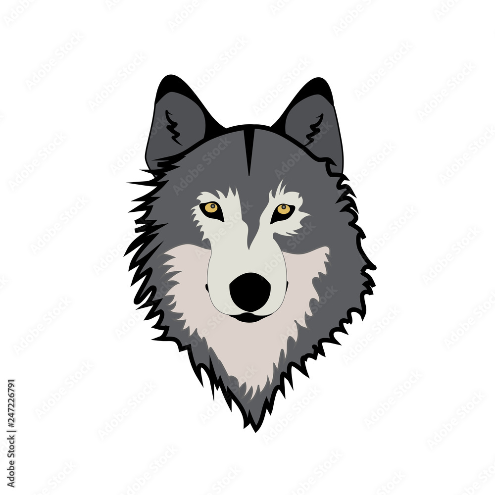 Muzzle wolf vector illustration Muzzle wolf vector illustration