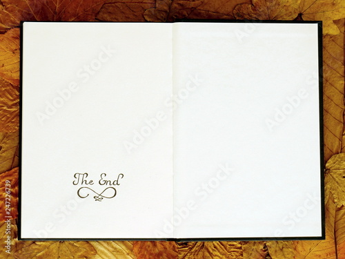 The End, sketchbook, last page, autumn leaves background