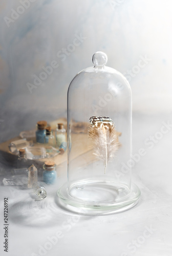 Flying magical feather under a glass dome