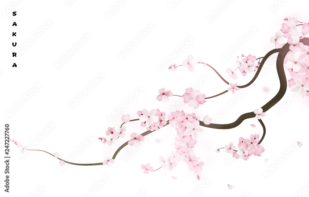 Realistic sakura japan cherry branch with blooming flowers. Vector illustration