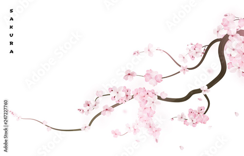 Realistic sakura japan cherry branch with blooming flowers. Vector illustration
