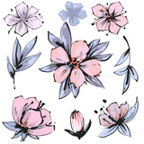 Vector spring blossom - pink flower set. Flower and bud illustrations