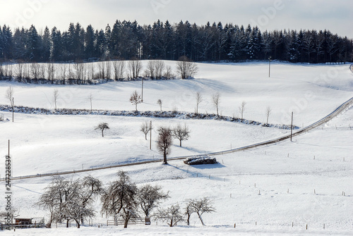 Black Forest © pictures paradise