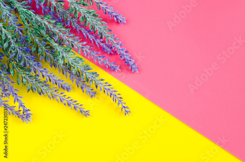 Bouquet of lavender lies on dual yellow pink background
