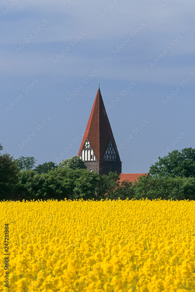 View of landscape with a blooming canola field (Brassica napus) in East Holstein with the Baltic Sea, Northern Germany, Schleswig-Holstein, Germany, Europe