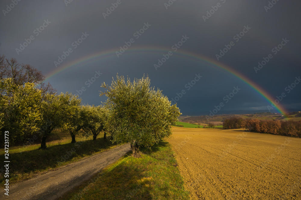 Splendido arcobaleno durante un temporale in Toscana