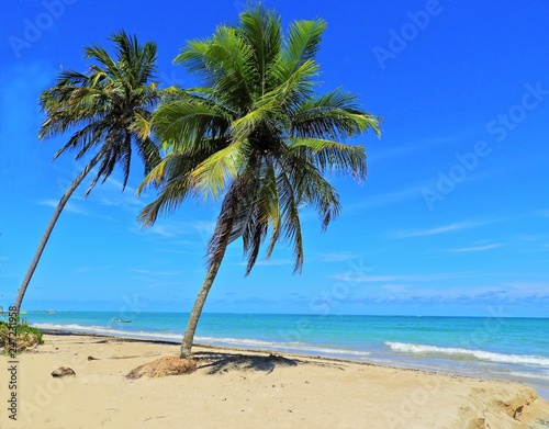 Miracle Route, Alagoas, Brazil. Paradisiac's beaches with a fantastic landscape. São Miguel dos Milagres and Passo de Camaragibe, Alagoas Brasil. Great vacation and beach scenes.