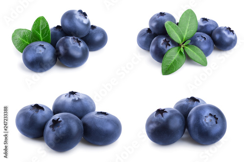 fresh blueberry with leaves isolated on white background closeup. Set or collection